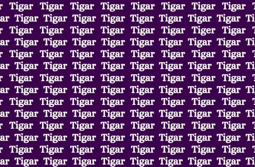 Test di illusione ottica del cervello: se hai gli occhi acuti trova la parola tigre tra tigar in 15 secondi