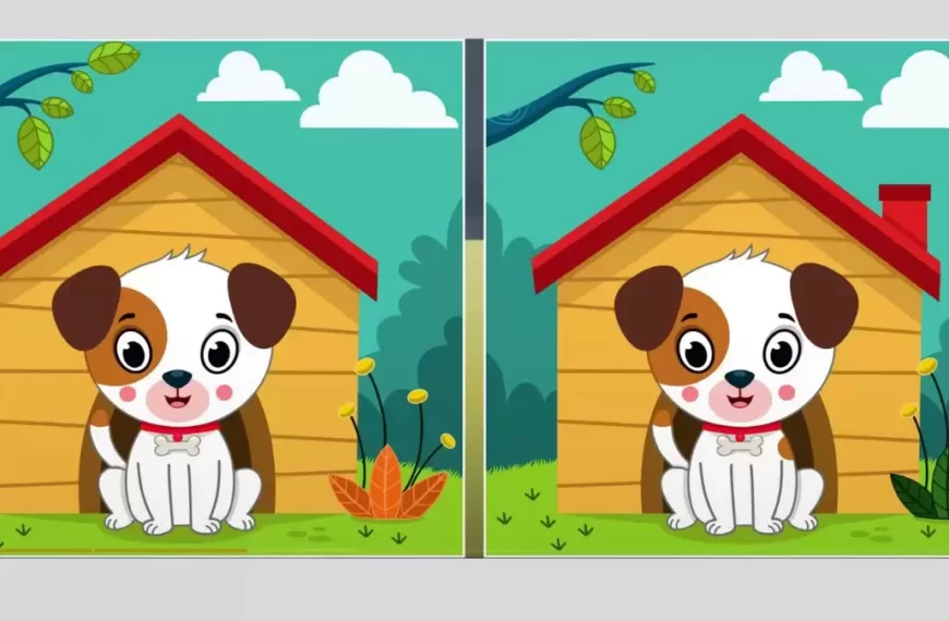 Gioco dell’illusione ottica per individuare le differenze: Se hai gli occhi dell’aquila trovi le 5 differenze tra due immagini entro 20 secondi?