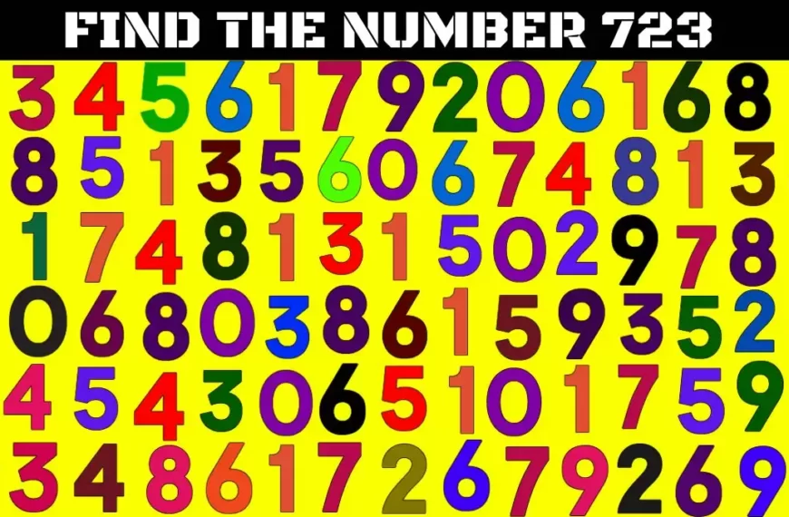 Test cerebrale di illusione ottica: se avete una visione 50/50 trovate il numero 723 in 15 secondi