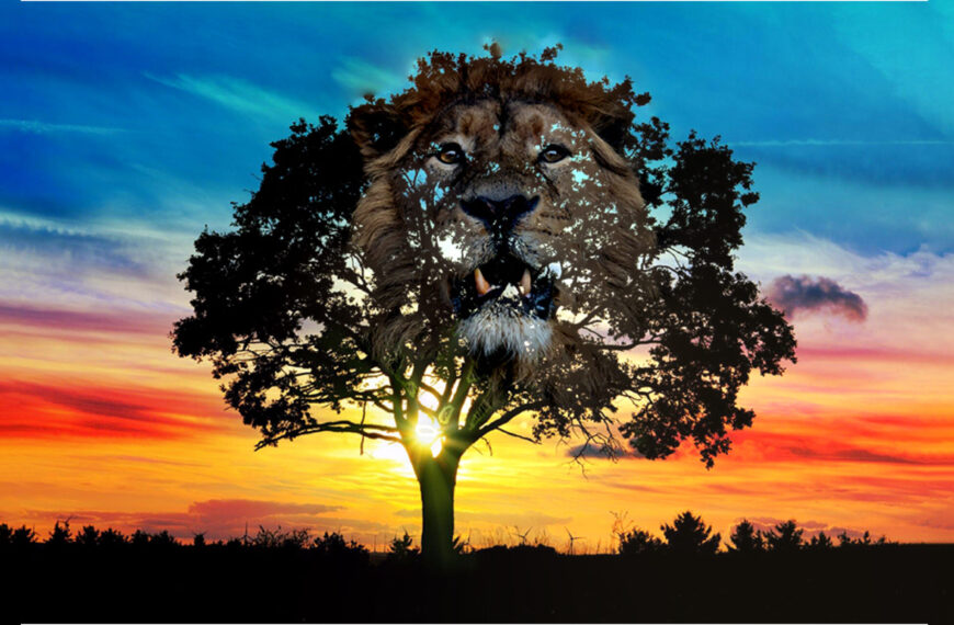 Test della personalità: rivela un tratto della tua personalità con questo test!