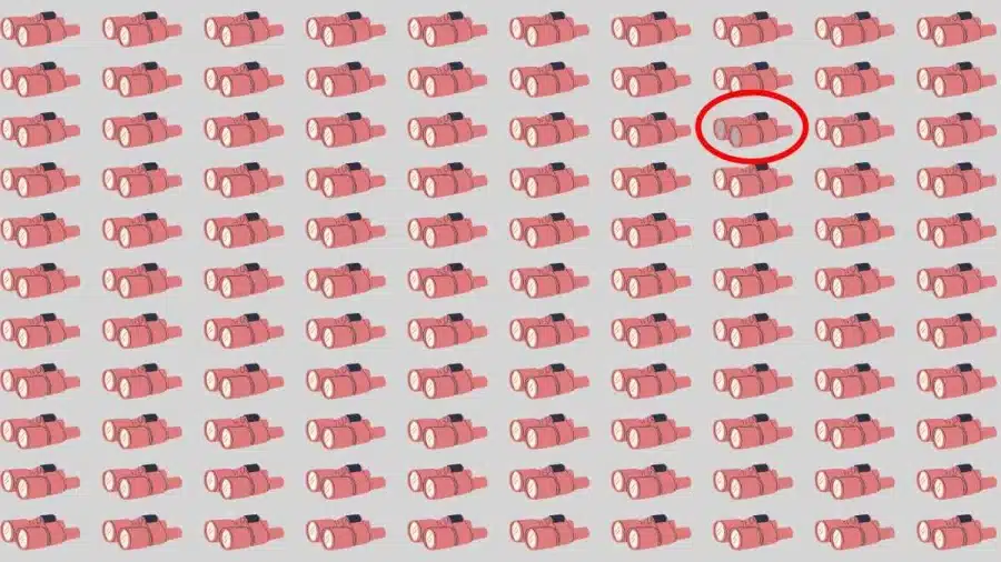 Test di capacità di osservazione: Prova a trovare lo strano binocolo in 12 secondi Test di capacità di osservazione: Prova a trovare lo strano binocolo in 12 secondi