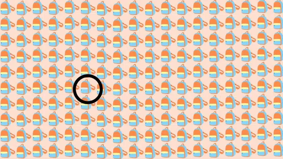 Illusione ottica: E se i vostri occhi d'aquila fossero in grado di individuare strane borse in 10 secondi? Illusione ottica: Cosa succederebbe se i tuoi occhi d'aquila potessero individuare strane borse in 10 secondi?