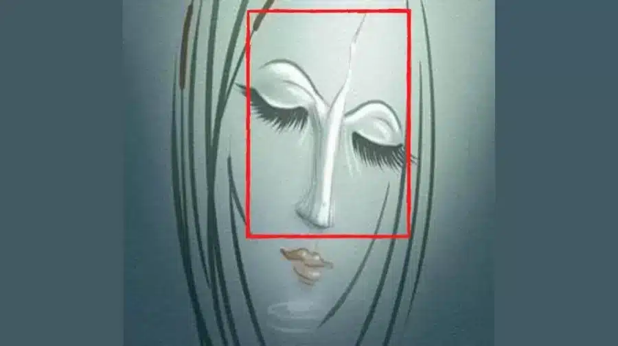 Illusioni ottiche per il test della vista: Riesci a trovare cosa si nasconde sul viso di questa ragazza? Illusioni ottiche per il test della vista: Riesci a trovare cosa si nasconde sul volto di questa ragazza?