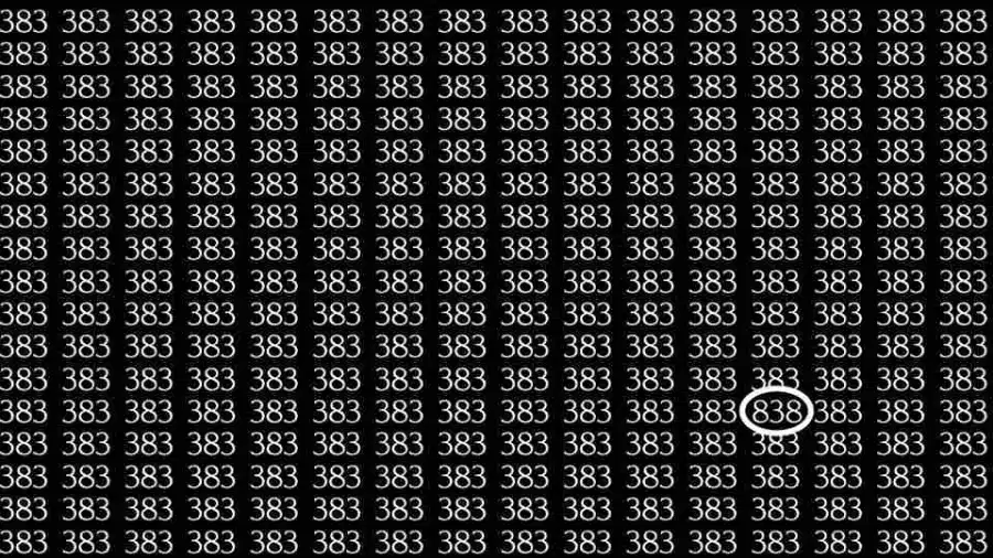 Prova di abilità con l'illusione ottica: Se avete occhi acuti, riuscite a trovare 838 su 383 in 5 secondi? Test di abilità sull'illusione ottica: Se hai la vista acuta, riesci a trovare 838 su 383 in 5 secondi?