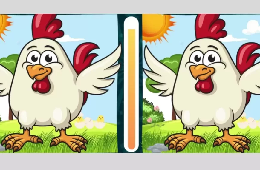 Puzzle di illusione ottica per individuare le differenze: Riesci a trovare le differenze tra due immagini entro 20 secondi?