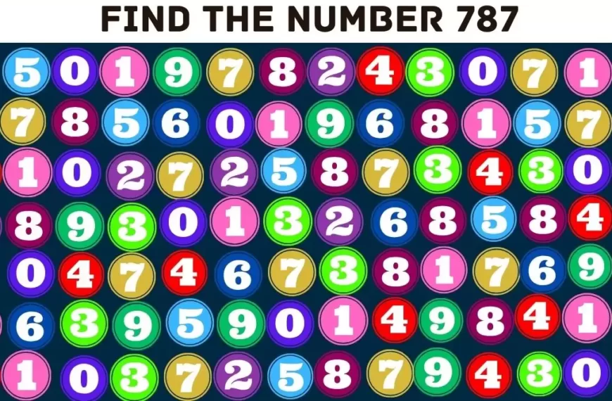 Test dell’illusione ottica: se avete gli occhi dell’aquila trovate il numero 787 in 12 secondi