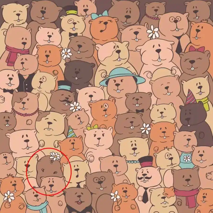 Illusione ottica: Se avessi occhi acuti, riusciresti a trovare la patata nascosta in 15 secondi? Illusione ottica: Se avessi occhi acuti, riusciresti a trovare la patata nascosta in 15 secondi?