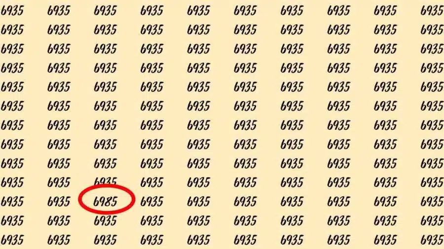Riesci a trovare 6985 su 6935 in 10 secondi? Illusioni ottiche Spiegazioni e soluzioni Riesci a trovare 6985 su 6935 in 10 secondi? Illusioni ottiche Spiegazioni e soluzioni