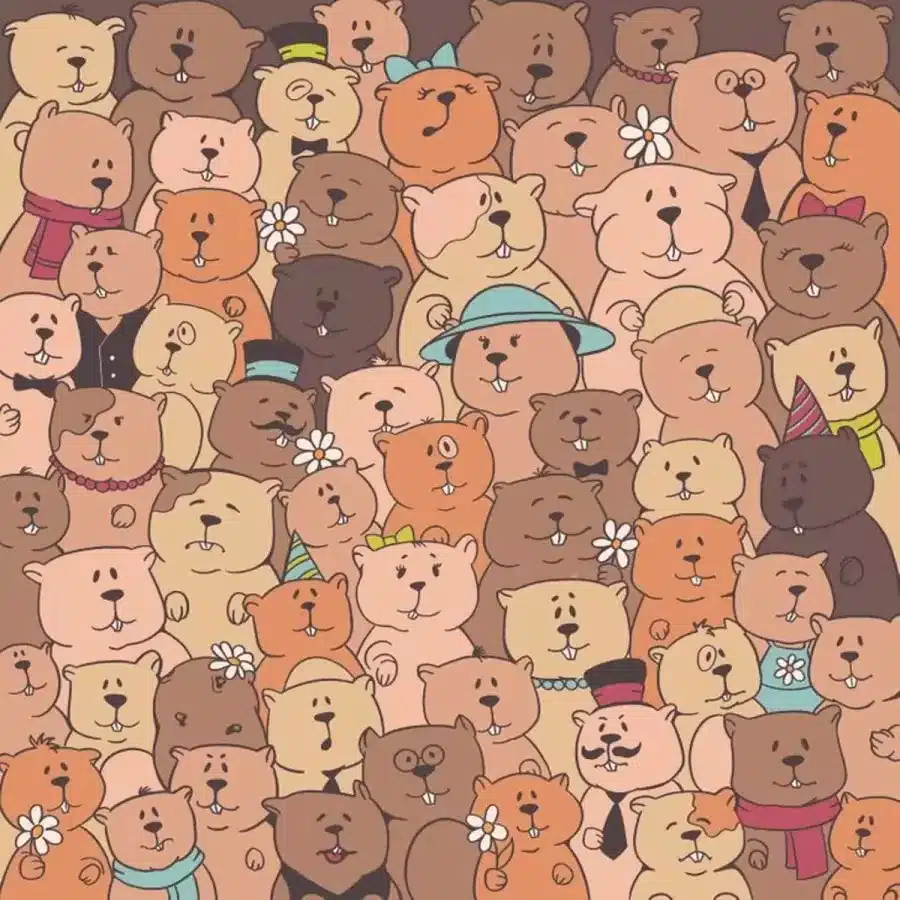 Illusione ottica: Se avete occhi acuti, riuscite a trovare la patata nascosta in 15 secondi? Illusione ottica: Se avessi occhi acuti, riusciresti a trovare la patata nascosta in 15 secondi?