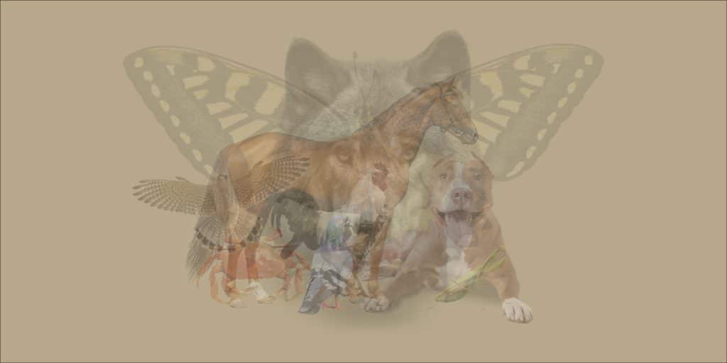 Test2_29_01_2023