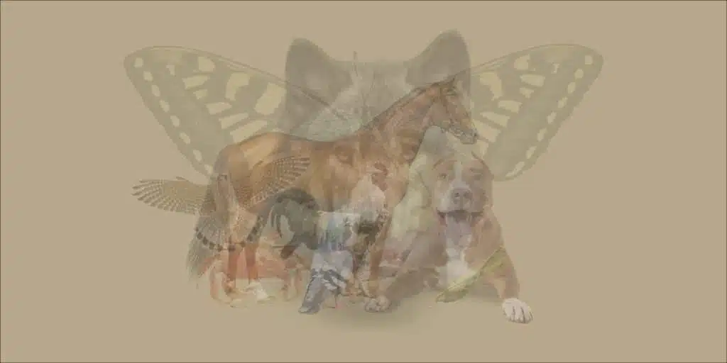 Test2_29_01_2023
