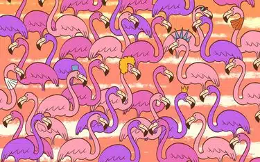 Trova il tuo cuore tra i fenicotteri (Cool Guru)