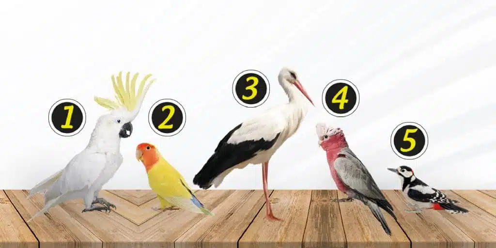 Test2_07_02_2023