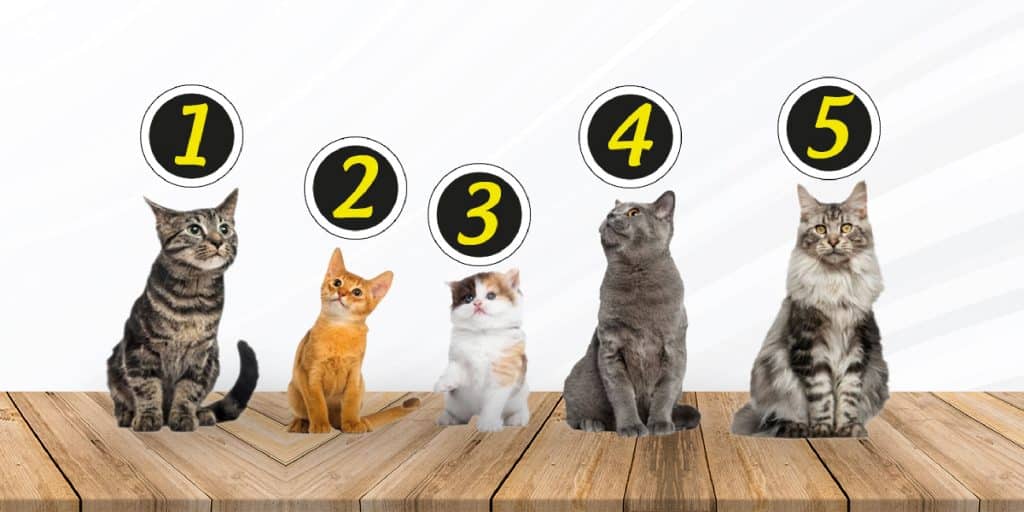 Test1_02_02_2023