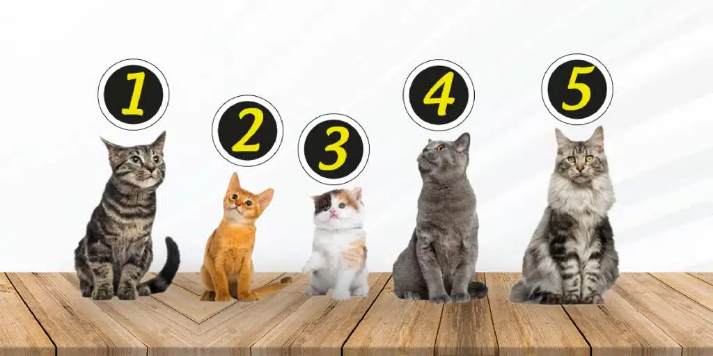 Test1_02_02_2023