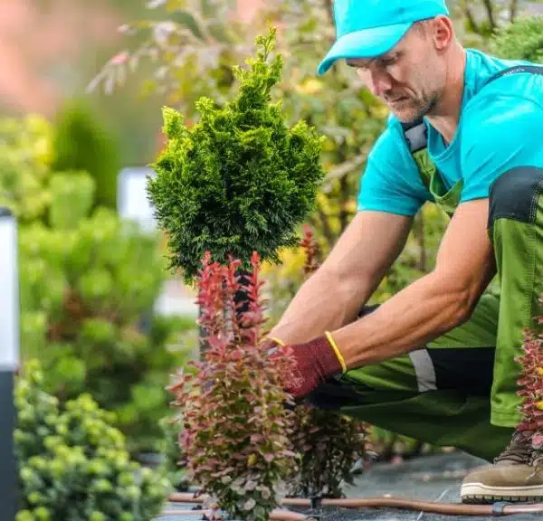 Buona pratica di giardinaggio a luglio!