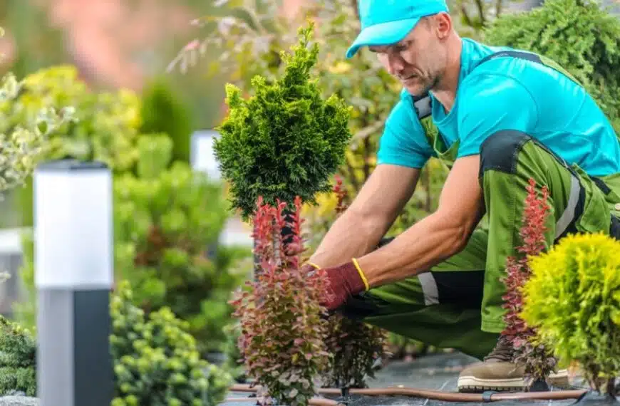 Buona pratica di giardinaggio a luglio!