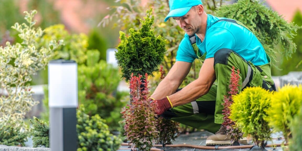 Buona pratica di giardinaggio a luglio!