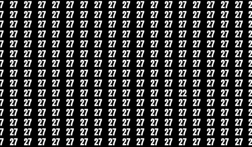 Test di abilità di osservazione: se avete gli occhi acuti, trovate il numero 22 tra 27 in 15 secondi.