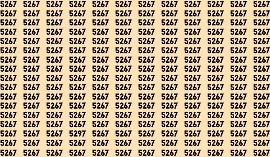 Test cerebrale di illusione ottica: se hai gli occhi acuti trova il numero 5297 in 20 secondi