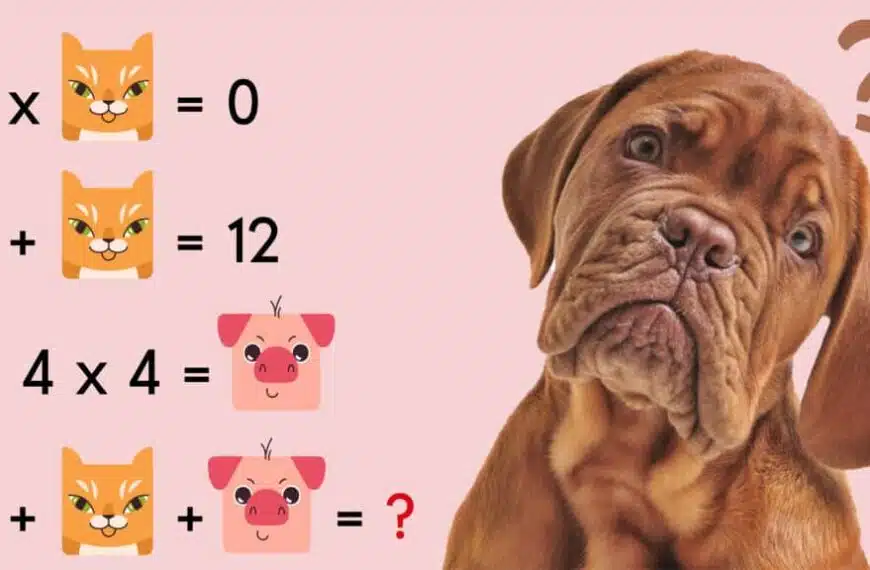 Test del QI: riesci a trovare il valore di ogni animale e a risolvere l’indovinello in 60 secondi?