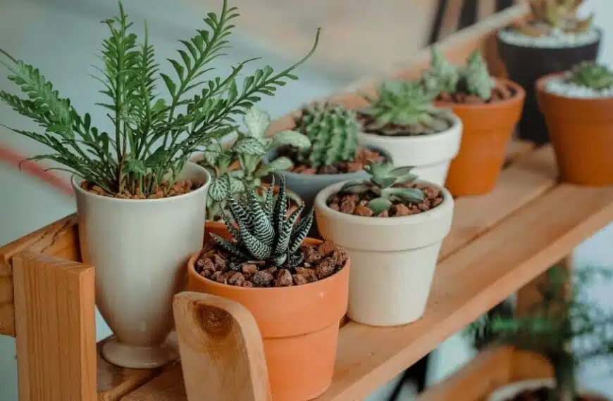 Proteggete il vostro giardino in modo naturale con le piante antiparassitarie!