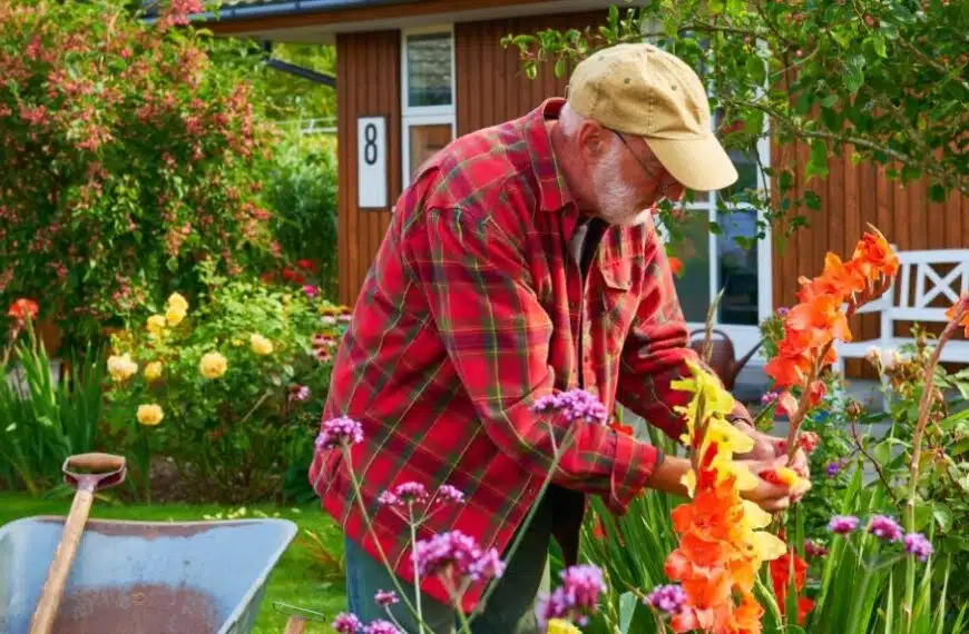 Come si può creare un magnifico giardino preservando l’ambiente?