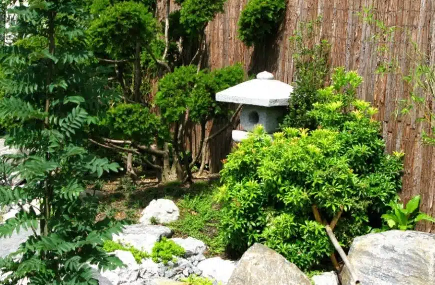 Se avete un giardino piccolo, niente panico! Abbiamo 4 consigli per aiutarvi a sfruttare al meglio il vostro spazio!