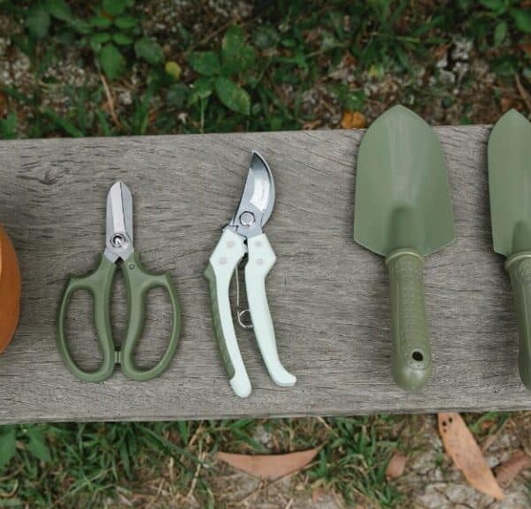 Scoprite i nostri consigli per la cura del vostro giardino durante il mese di luglio!