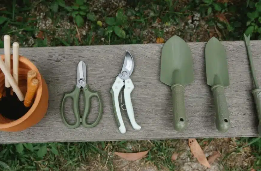 Scoprite i nostri consigli per la cura del vostro giardino durante il mese di luglio!