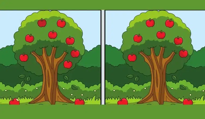 Illusione ottica Trova la differenza: Se hai gli occhi di falco trovi la differenza tra due immagini entro 24 secondi?