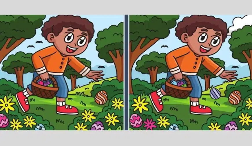 Osservazione Individuare la differenza: Se hai gli occhi dell’aquila trovi la differenza tra due immagini in 35 secondi?