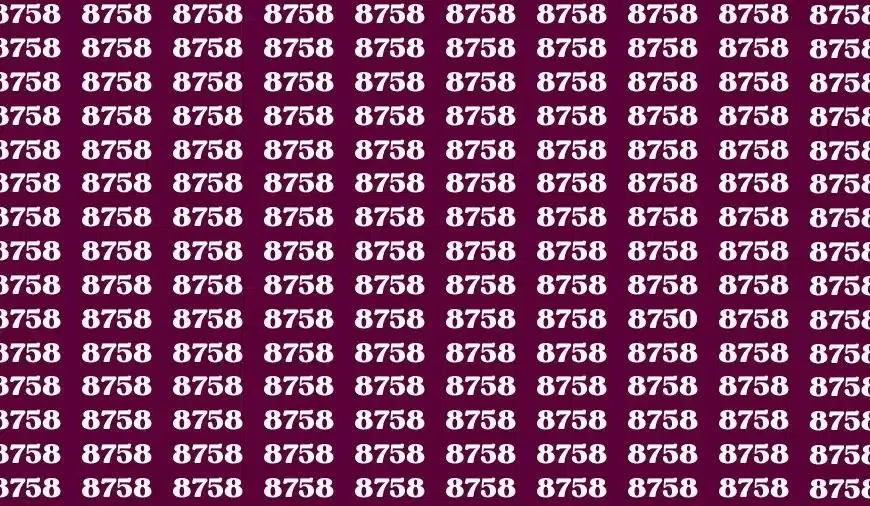 Test della vista con illusione ottica: se hai gli occhi acuti, trova il numero 8750 in 10 secondi
