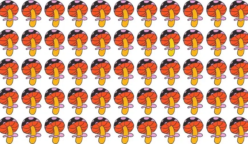 Test oculistico sulle illusioni ottiche: Riesci a trovare il fungo strano in 20 secondi?