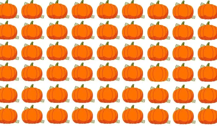 Test visivo dell’illusione ottica: se hai gli occhi dell’aquila, trova la zucca strana in 18 secondi