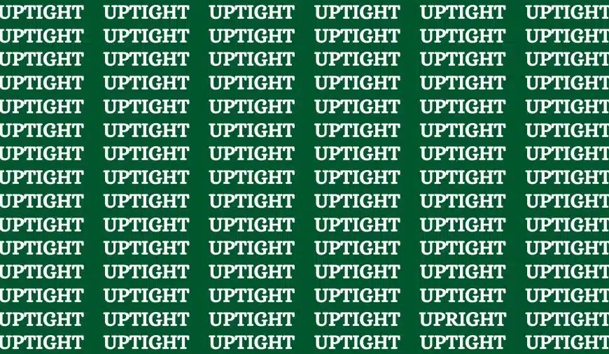 Test visivo dell’illusione ottica: se hai gli occhi dell’aquila, trova la parola “verticale” in 14 secondi