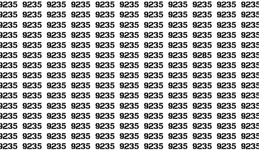 Test visivo di illusione ottica: se avete gli occhi dell’aquila, trovate il numero 9285 tra 9235 in 14 secondi