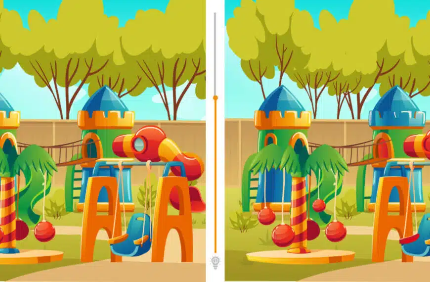 Sfida visiva: risolvi il gioco delle differenze in meno di 30 secondi ed esplora le sue 12 differenze!