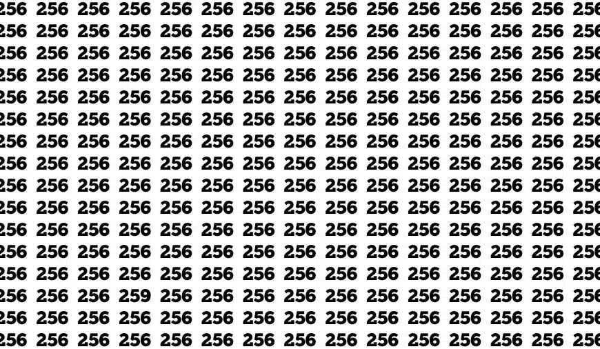 Test dell’illusione ottica: se avete gli occhi di un falco trovate il numero 259 in 13 secondi