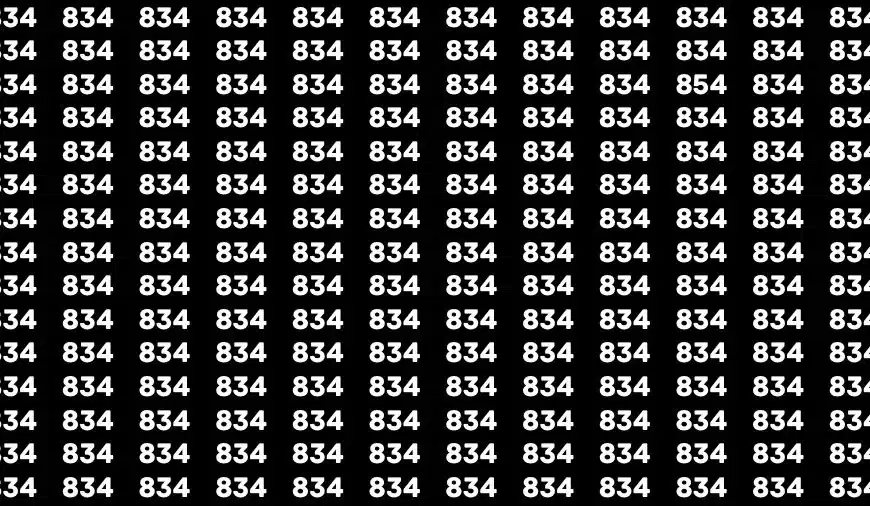 Test dell’illusione ottica: se avete gli occhi di un falco trovate il numero 854 in 13 secondi