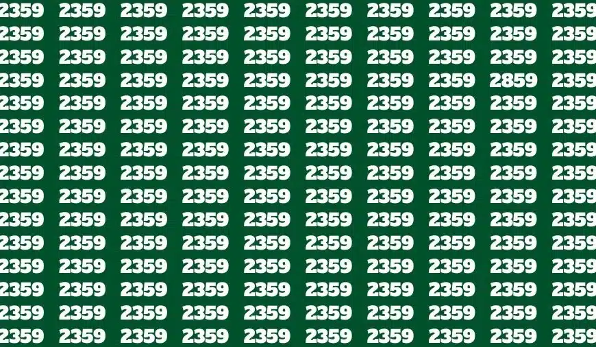 Test dell’illusione ottica: se avete gli occhi di un falco, trovate il numero 2859 in 13 secondi