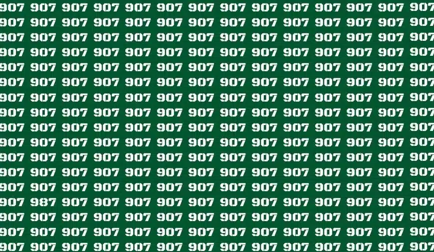 Test visivo di illusione ottica: se avete gli occhi dell’aquila, trovate il numero 987 tra 907 in 14 secondi