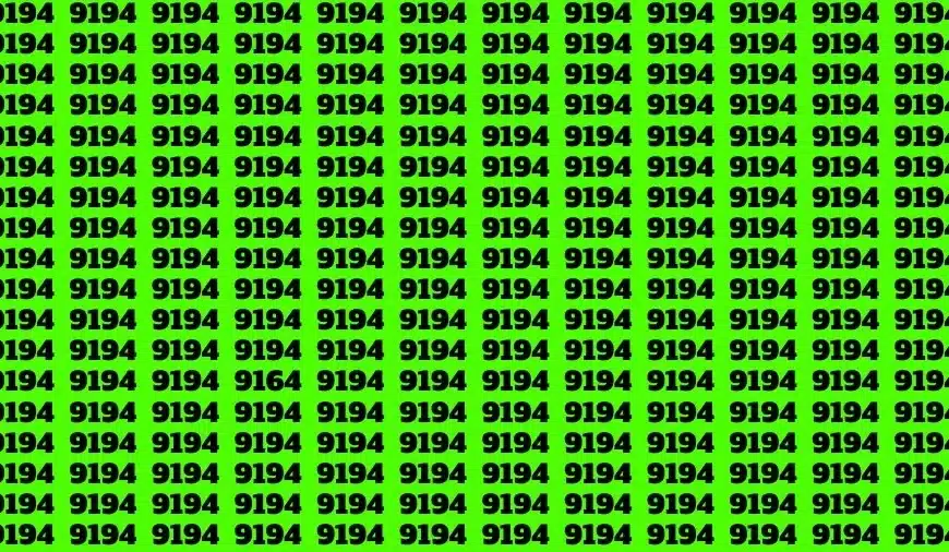 Test visivo di illusione ottica: se avete gli occhi dell’aquila, trovate il numero 9164 tra 9194 in 14 secondi