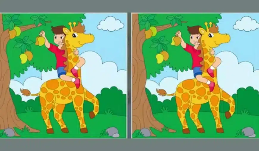 Puzzle di illusione ottica per individuare la differenza: Riesci a trovare la differenza tra due immagini entro 18 secondi?
