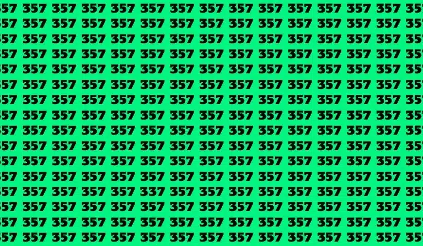 Test visivo dell’illusione ottica: se hai gli occhi acuti trova il numero 337 in 20 secondi
