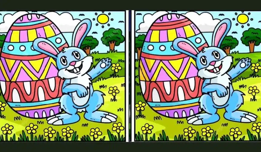 Puzzle di illusione ottica per individuare le differenze: Riesci a trovare le 6 differenze tra due immagini entro 25 secondi?