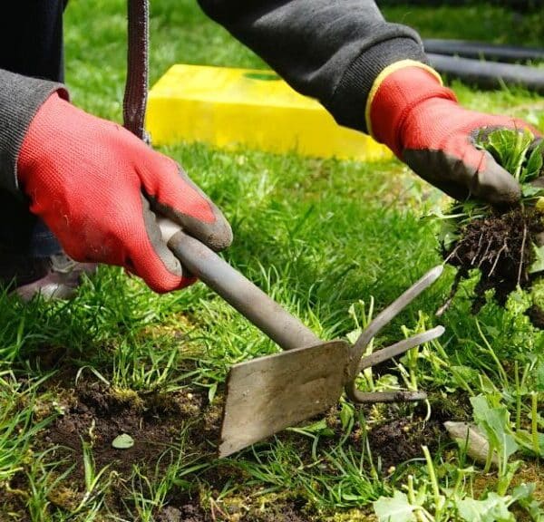 Guerra alle erbacce: 4 consigli naturali per combatterle