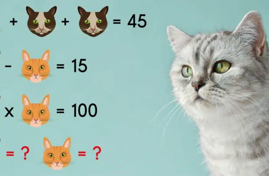 Test del QI: riesci a risolvere questo complicato enigma matematico in meno di 20 secondi?