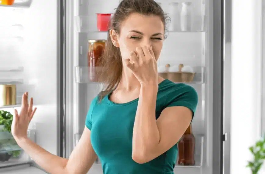 Scoprite come eliminare gli odori ostinati dal vostro frigorifero, organizzare i ripiani e mantenere i vostri alimenti preferiti il più freschi possibile.