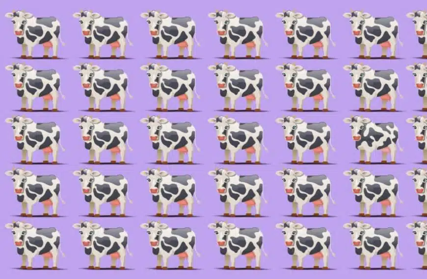 Quiz: riuscite a trovare l’intruso in meno di 15 secondi?
